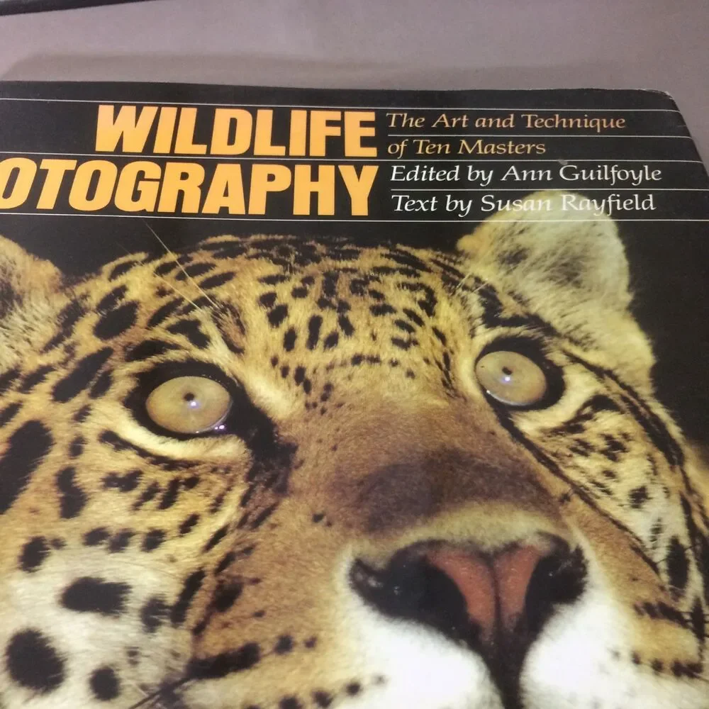 Wildlife Photography Art Technique Ten Masters Guilfoyle Rayfield 1982 HC DJ